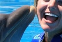 Swim with Dolphins - Royal Swim